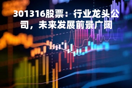 301316股票：行业龙头公司，未来发展前景广阔