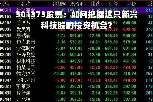 301373股票：如何把握这只新兴科技股的投资机会？