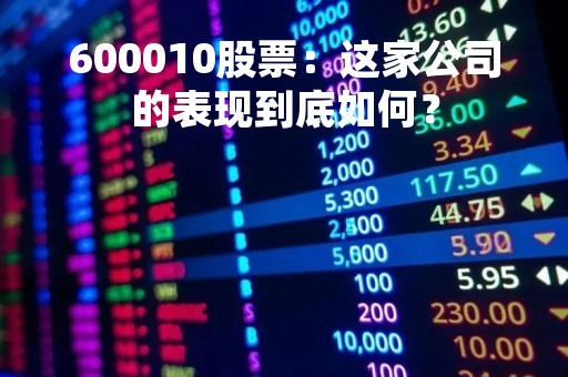 600010股票：这家公司的表现到底如何？