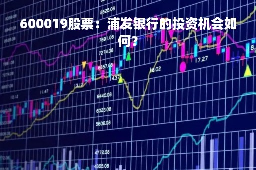 600019股票：浦发银行的投资机会如何？