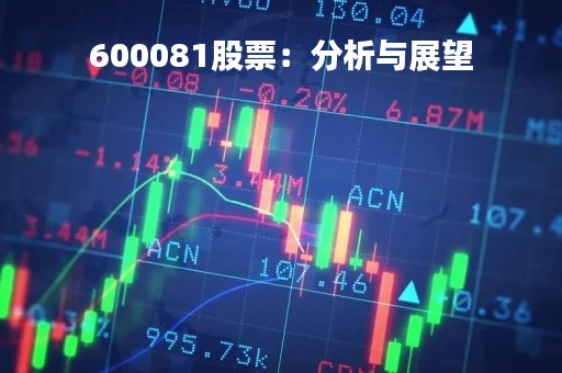 600081股票：分析与展望