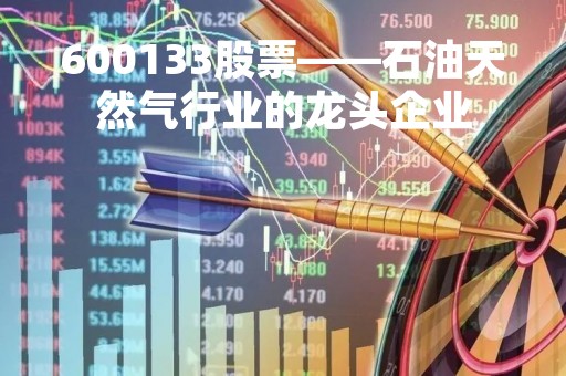 600133股票——石油天然气行业的龙头企业