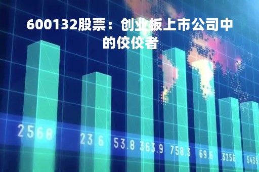 600132股票：创业板上市公司中的佼佼者
