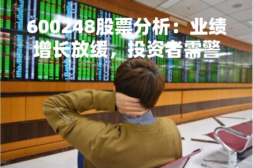 600248股票分析：业绩增长放缓，投资者需警惕