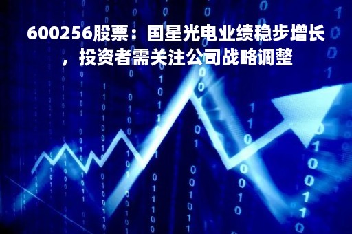 600256股票：国星光电业绩稳步增长，投资者需关注公司战略调整