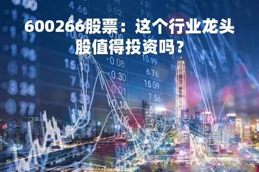 600266股票：这个行业龙头股值得投资吗？