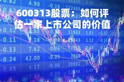 600313股票：如何评估一家上市公司的价值？