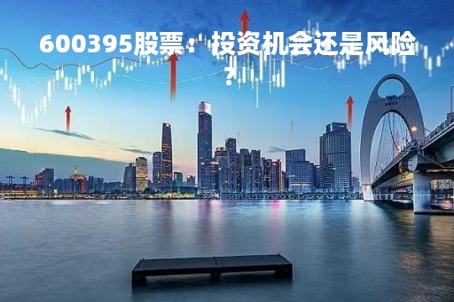 600395股票：投资机会还是风险？