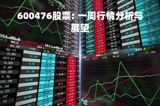 600476股票: 一周行情分析与展望