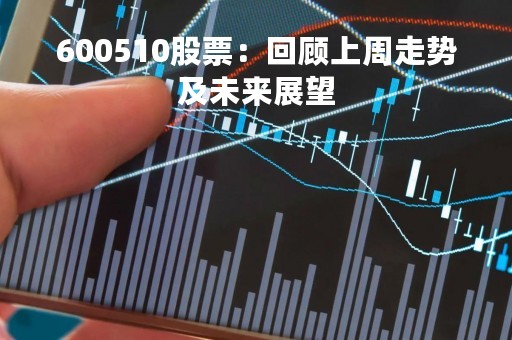 600510股票：回顾上周走势及未来展望