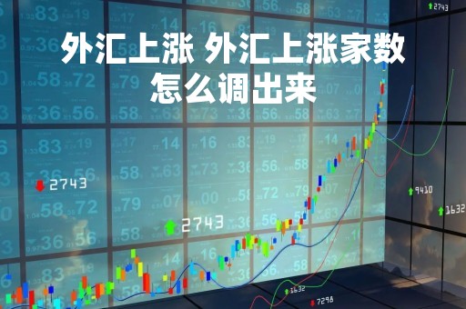 外汇上涨 外汇上涨家数怎么调出来