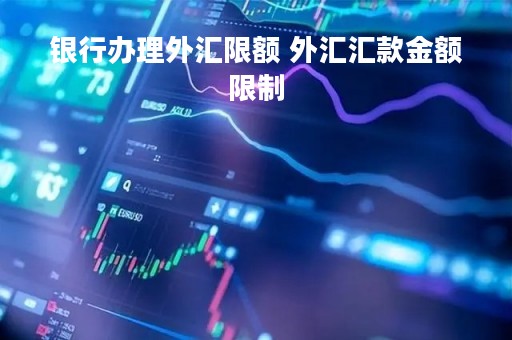 银行办理外汇限额 外汇汇款金额限制