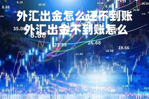 外汇出金怎么还不到账 外汇出金不到账怎么办