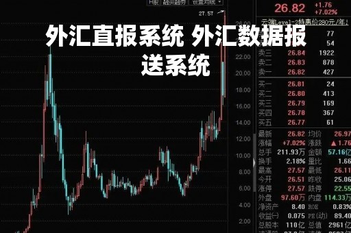 外汇直报系统 外汇数据报送系统