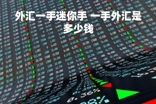 外汇一手迷你手 一手外汇是多少钱