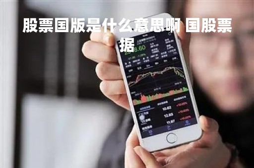 股票国版是什么意思啊 国股票据