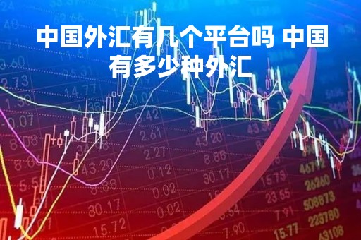 中国外汇有几个平台吗 中国有多少种外汇