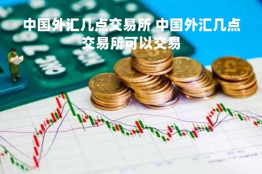 中国外汇几点交易所 中国外汇几点交易所可以交易