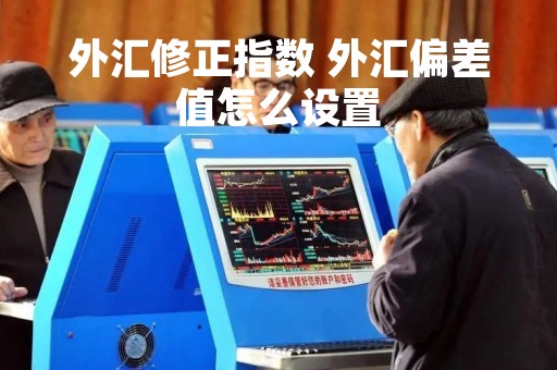 外汇修正指数 外汇偏差值怎么设置