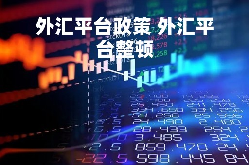外汇平台政策 外汇平台整顿