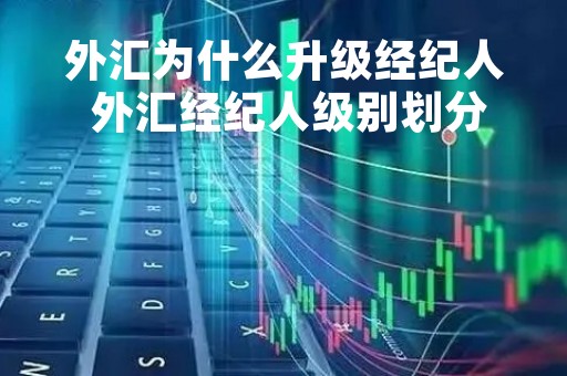 外汇为什么升级经纪人 外汇经纪人级别划分