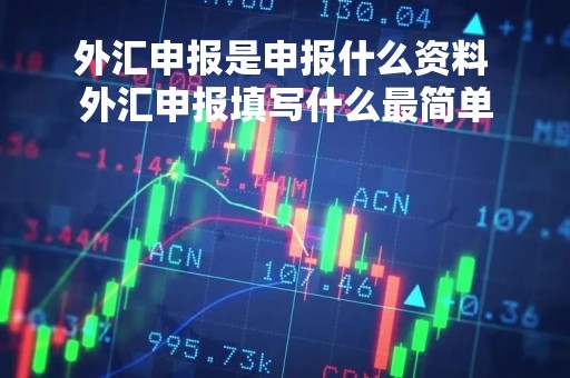外汇申报是申报什么资料 外汇申报填写什么最简单