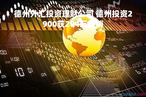 德州外汇投资理财公司 德州投资2900获294万直销