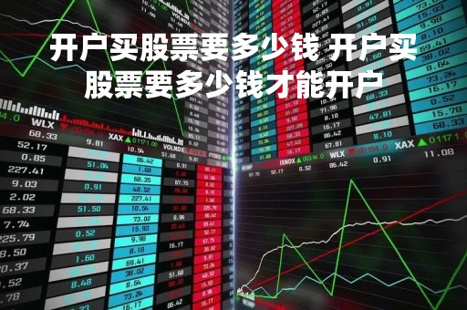 开户买股票要多少钱 开户买股票要多少钱才能开户