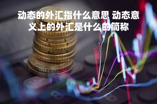 动态的外汇指什么意思 动态意义上的外汇是什么的简称