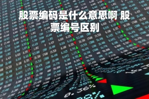 股票编码是什么意思啊 股票编号区别