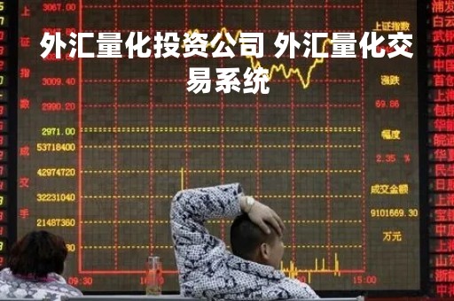 外汇量化投资公司 外汇量化交易系统