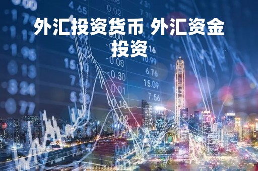 外汇投资货币 外汇资金投资