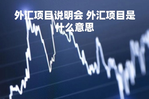 外汇项目说明会 外汇项目是什么意思 外汇项目说明会 外汇项目是什么意思