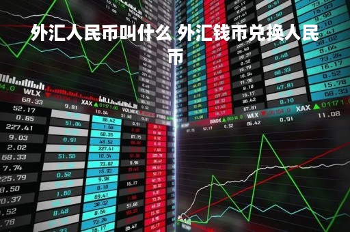 外汇人民币叫什么 外汇钱币兑换人民币