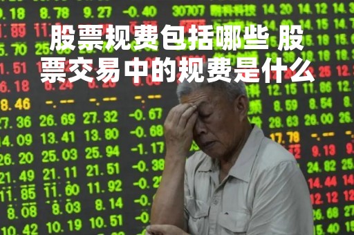 股票规费包括哪些 股票交易中的规费是什么