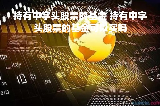 持有中字头股票的基金 持有中字头股票的基金可以买吗 持有中字头股票的基金 持有中字头股票的基金可以买吗