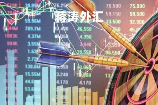 蒋涛外汇