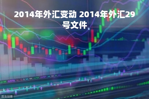 2014年外汇变动 2014年外汇29号文件