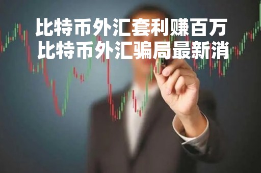 比特币外汇套利赚百万 比特币外汇骗局最新消息