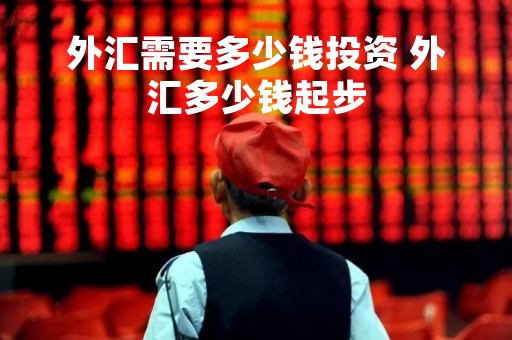 外汇需要多少钱投资 外汇多少钱起步