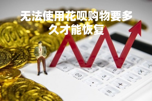 无法使用花呗购物要多久才能恢复