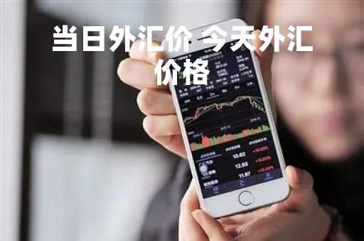 当日外汇价 今天外汇价格