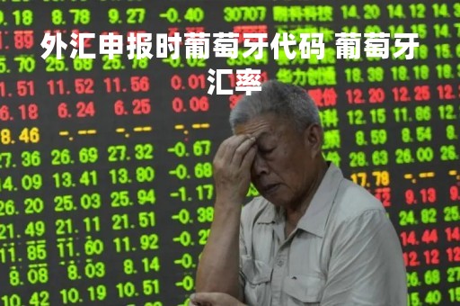 外汇申报时葡萄牙代码 葡萄牙 汇率