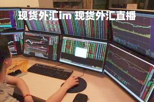 现货外汇im 现货外汇直播