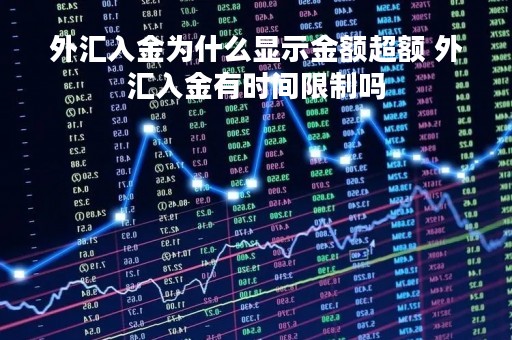 外汇入金为什么显示金额超额 外汇入金有时间限制吗