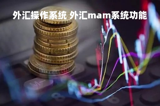 外汇操作系统 外汇mam系统功能