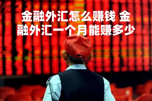 金融外汇怎么赚钱 金融外汇一个月能赚多少钱