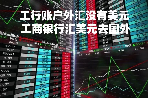 工行账户外汇没有美元 工商银行汇美元去国外账户