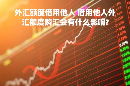 外汇额度借用他人 借用他人外汇额度购汇会有什么影响?