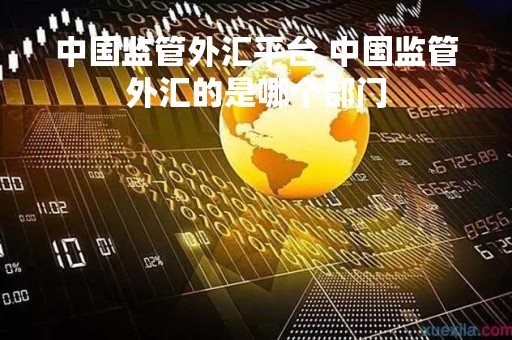中国监管外汇平台 中国监管外汇的是哪个部门